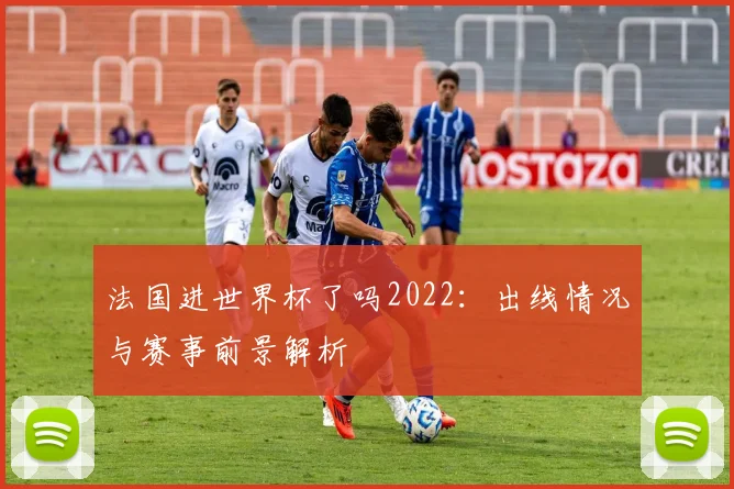 法国进世界杯了吗2022:出线情况与赛事前景解析
