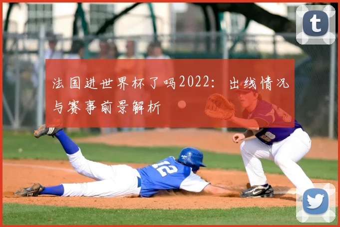 法国进世界杯了吗2022：出线情况与赛事前景解析