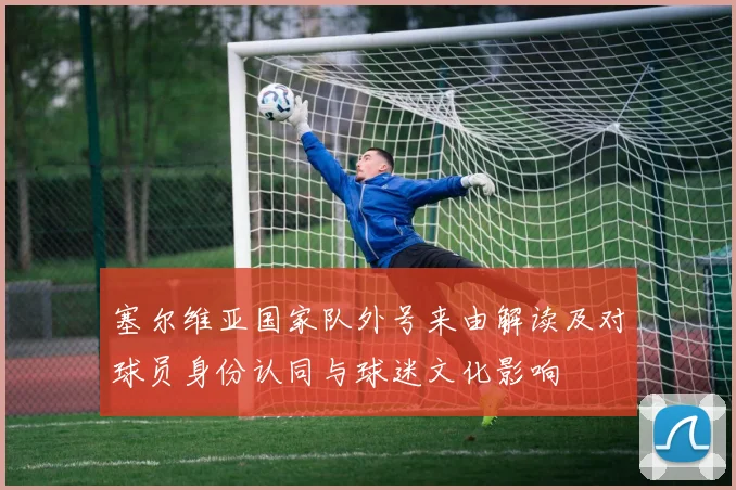 塞尔维亚国家队外号来由解读及对球员身份认同与球迷文化影响