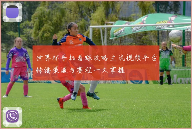 世界杯手机看球攻略主流视频平台转播渠道与赛程一文掌握