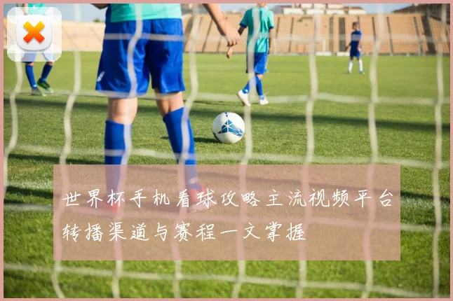 世界杯手机看球攻略主流视频平台转播渠道与赛程一文掌握