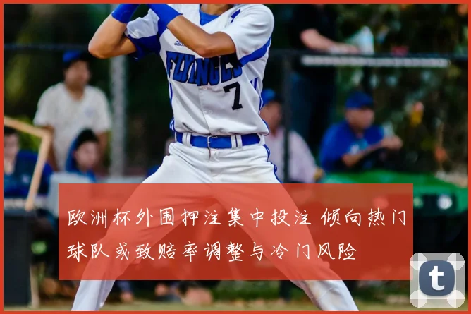 欧洲杯外围押注集中投注 倾向热门球队或致赔率调整与冷门风险